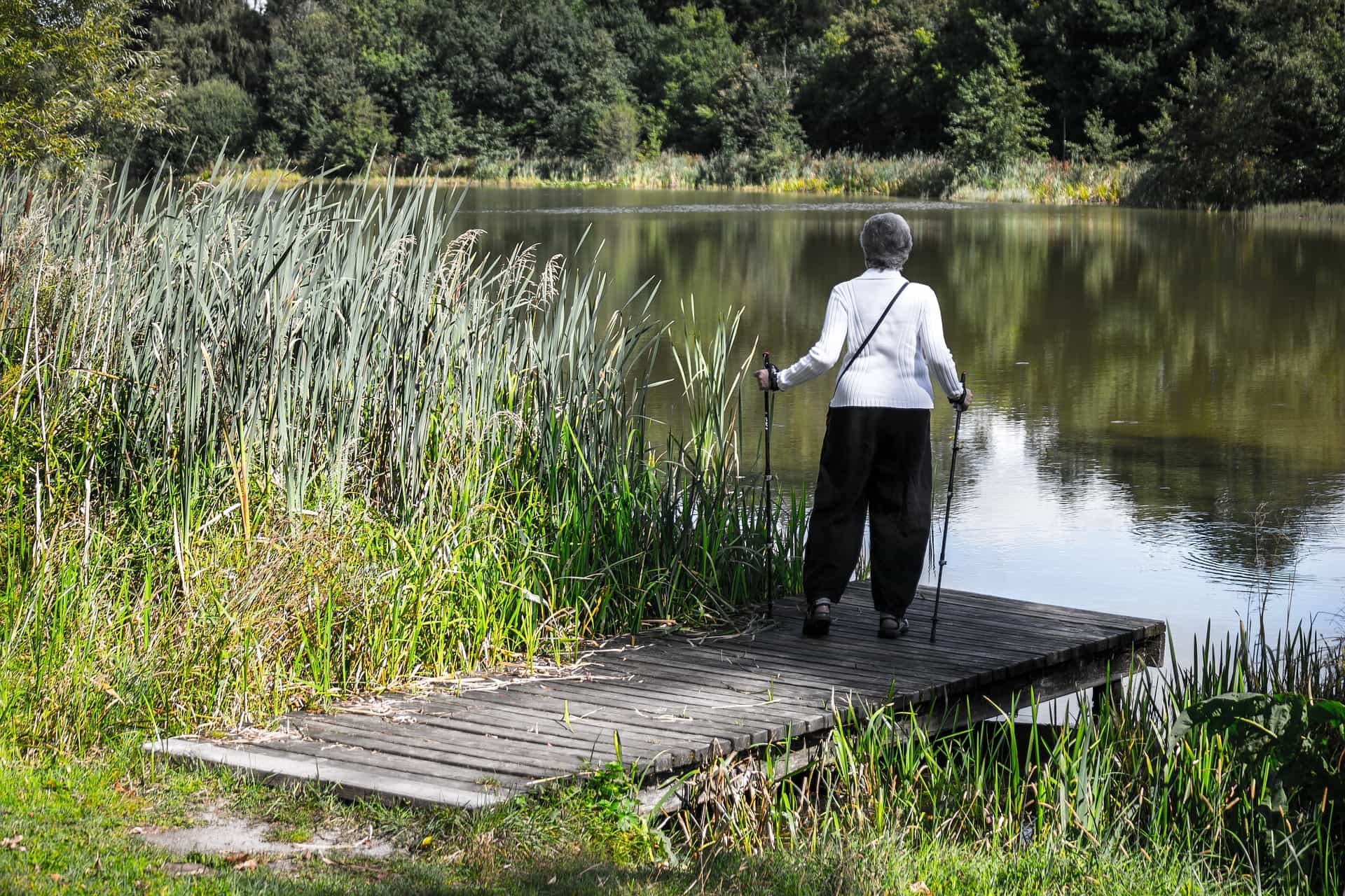 3 Activités Physiques Pour Les Personnes âgées Senior Marketfr 